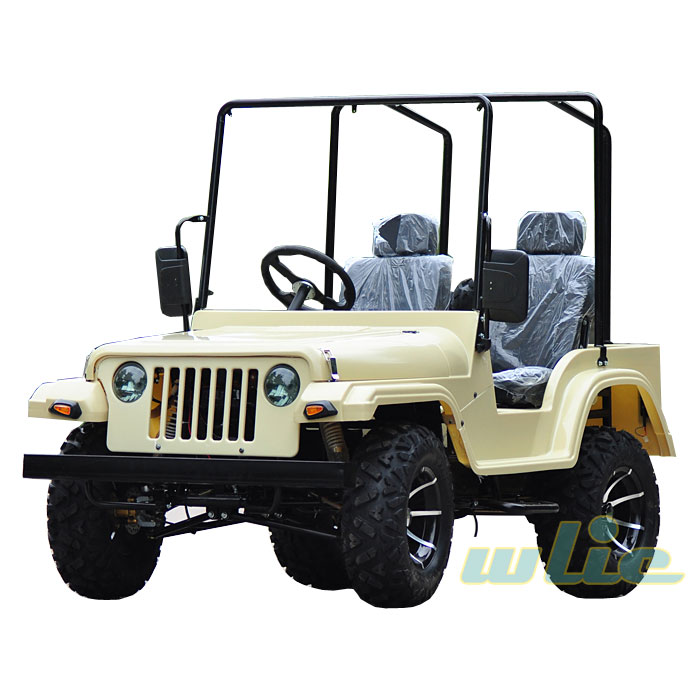 Big Jeep 300cc